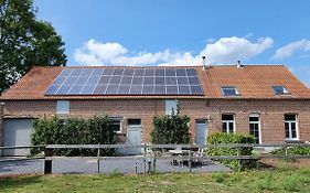 Boshovense Velden Grobbendonk